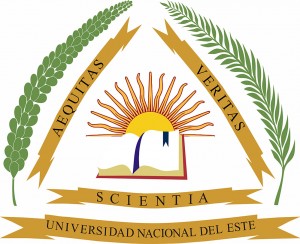 Universidad Nacional del Este